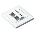 NetiX Angled  Face Plate Dual Port with Shuttle