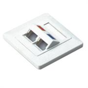 NetiX Angled  Face Plate Dual Port with Shuttle