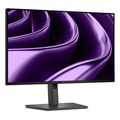 Dell Pro P 24 USB-C Hub Monitor - P2426HE